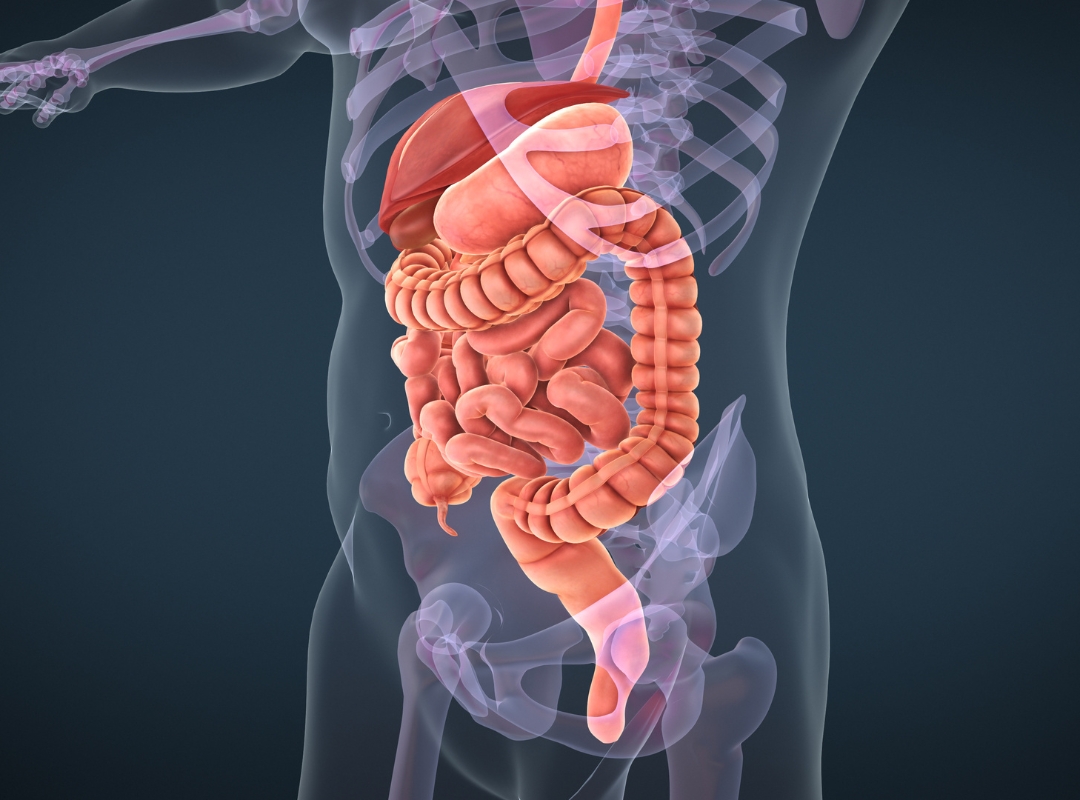 Avanços Tecnológicos na Cirurgia do Aparelho Digestivo: O Que Você Precisa Saber