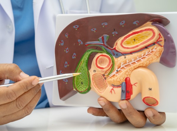 A Verdade Sobre Cirurgia de Vesícula: Quem Realmente Precisa e Por Que Esperar Pode Ser Arriscado